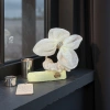 White gauze floral hair accessory, ladies' headwear, bow hair clip, Korean version, sweet and simple details Picture